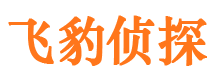 封丘私家调查公司